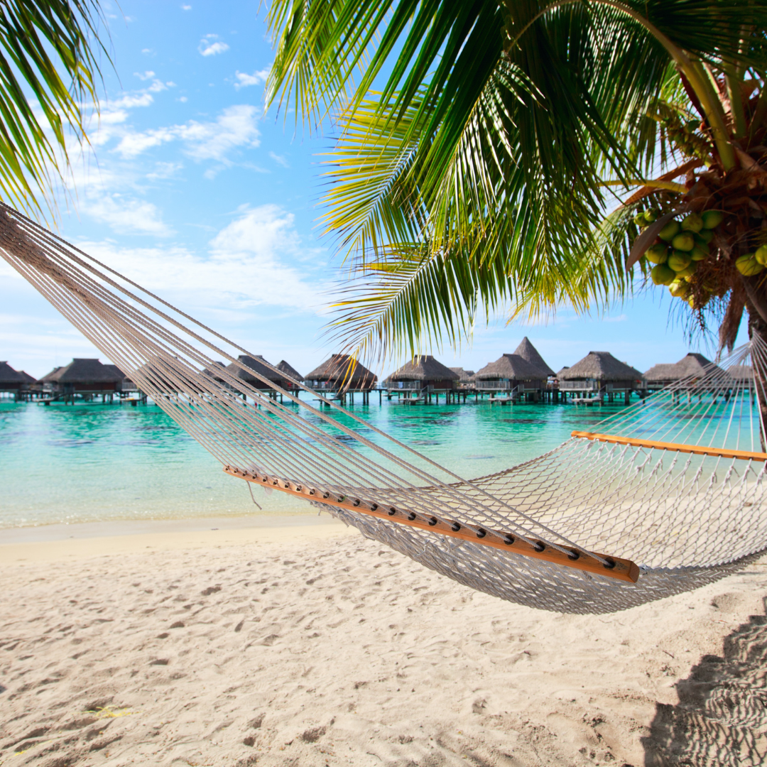 white sand beach with palm trees and a hammock overlooking overwater bungalows